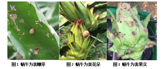 QQ圖片20220103100233.png