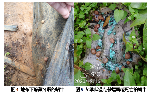 QQ圖片20220103100328.png