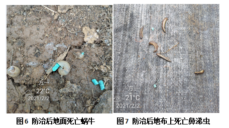 QQ圖片20220103100419.png