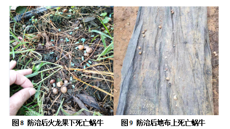 QQ圖片20220103100436.png