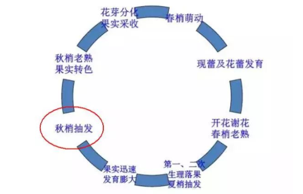 圖片1.png