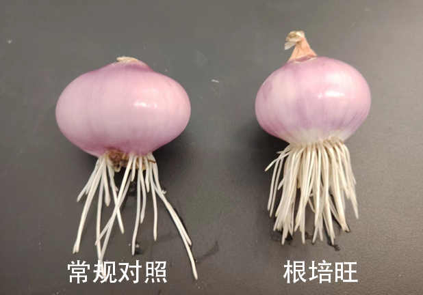 圖片5